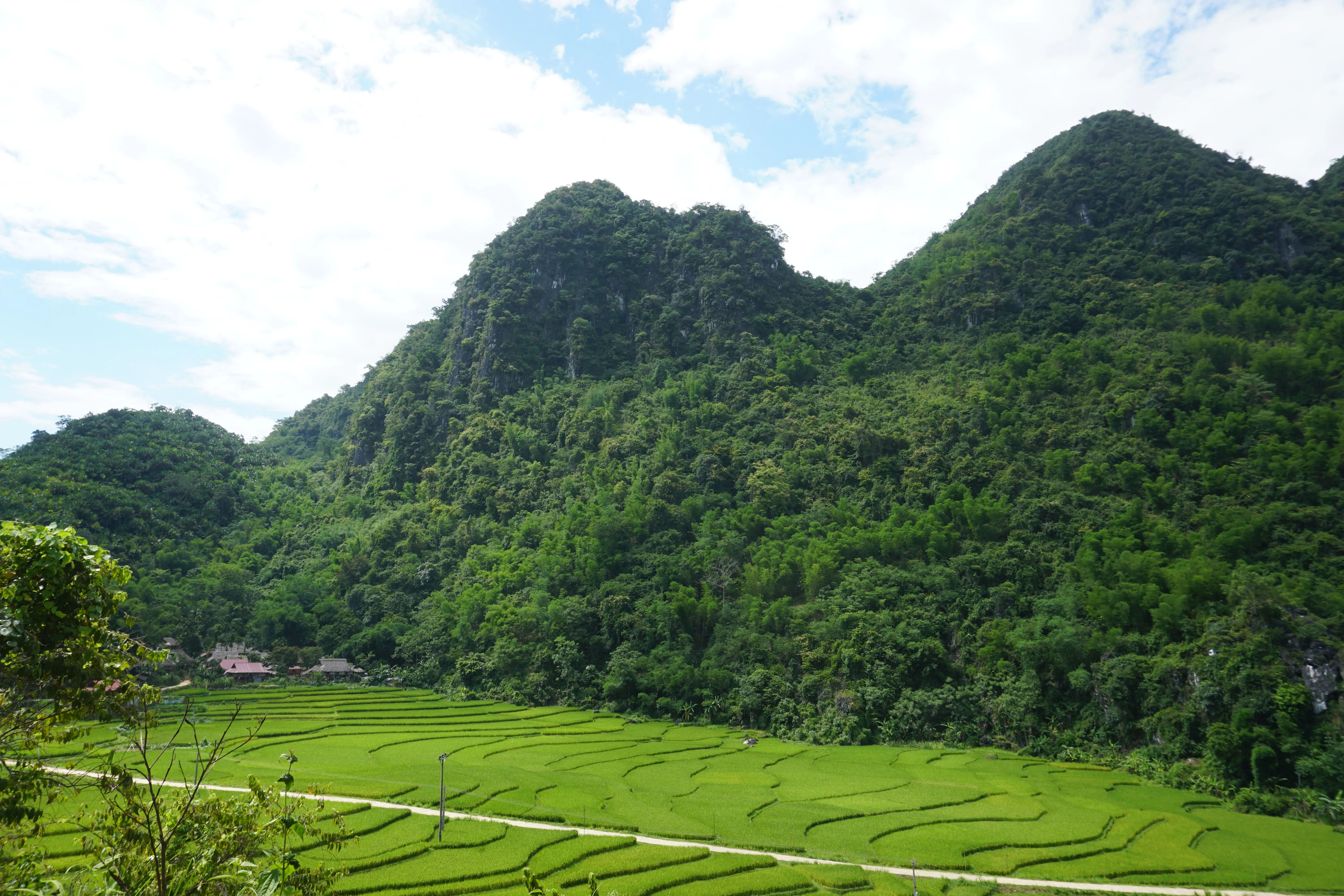 Northern Vietnam Cycling Odyssey Tour 10 Days